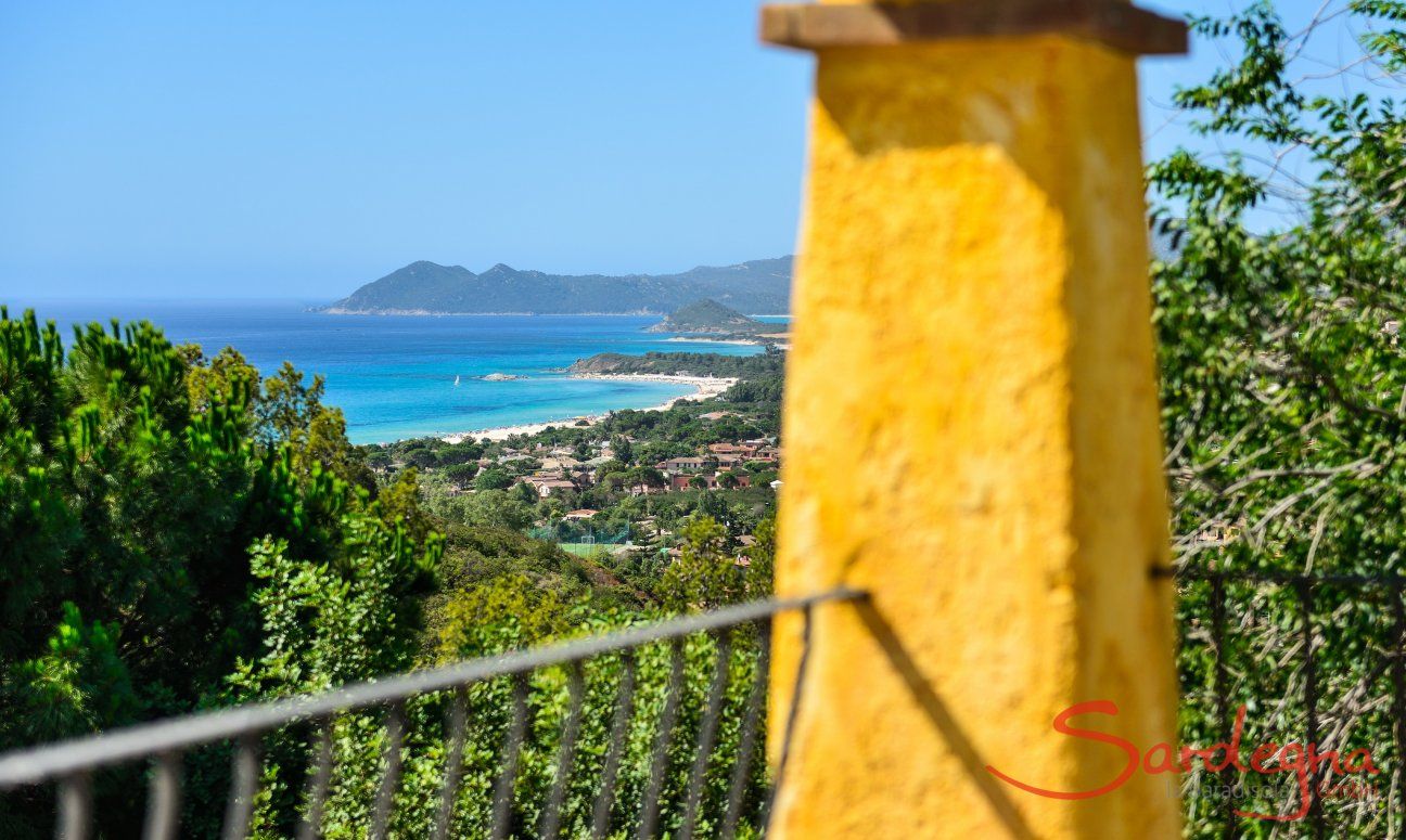 C.Orchidea | Stunning sea view until the southern end of Costa Rei Orchidea in der Natur