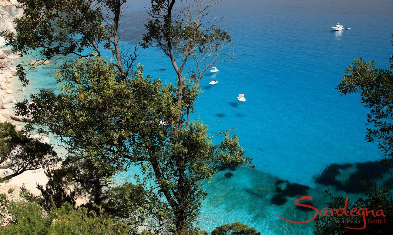 View from above through the trees on the crystal clear sea of Cala Goloritze