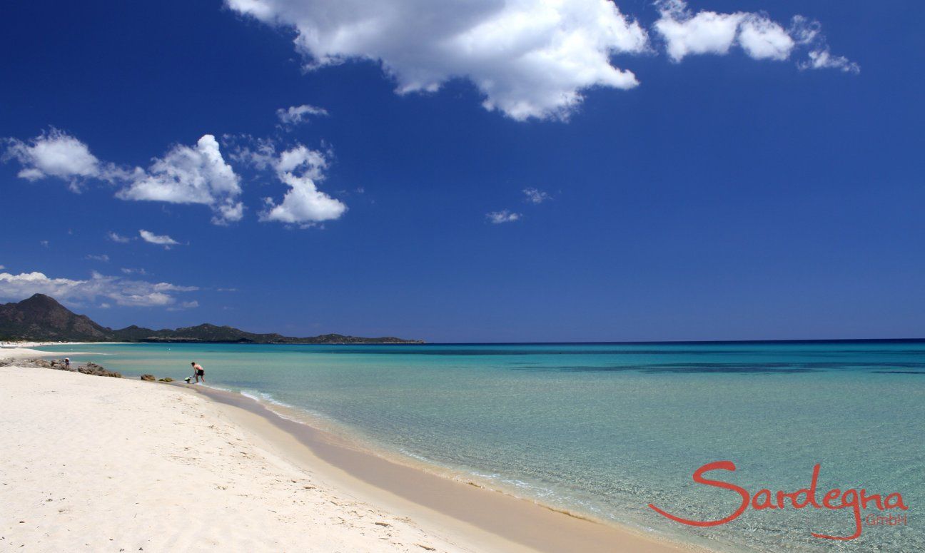 Villa Le Ginestre 2 | Beach of Costa Rei Sardinia