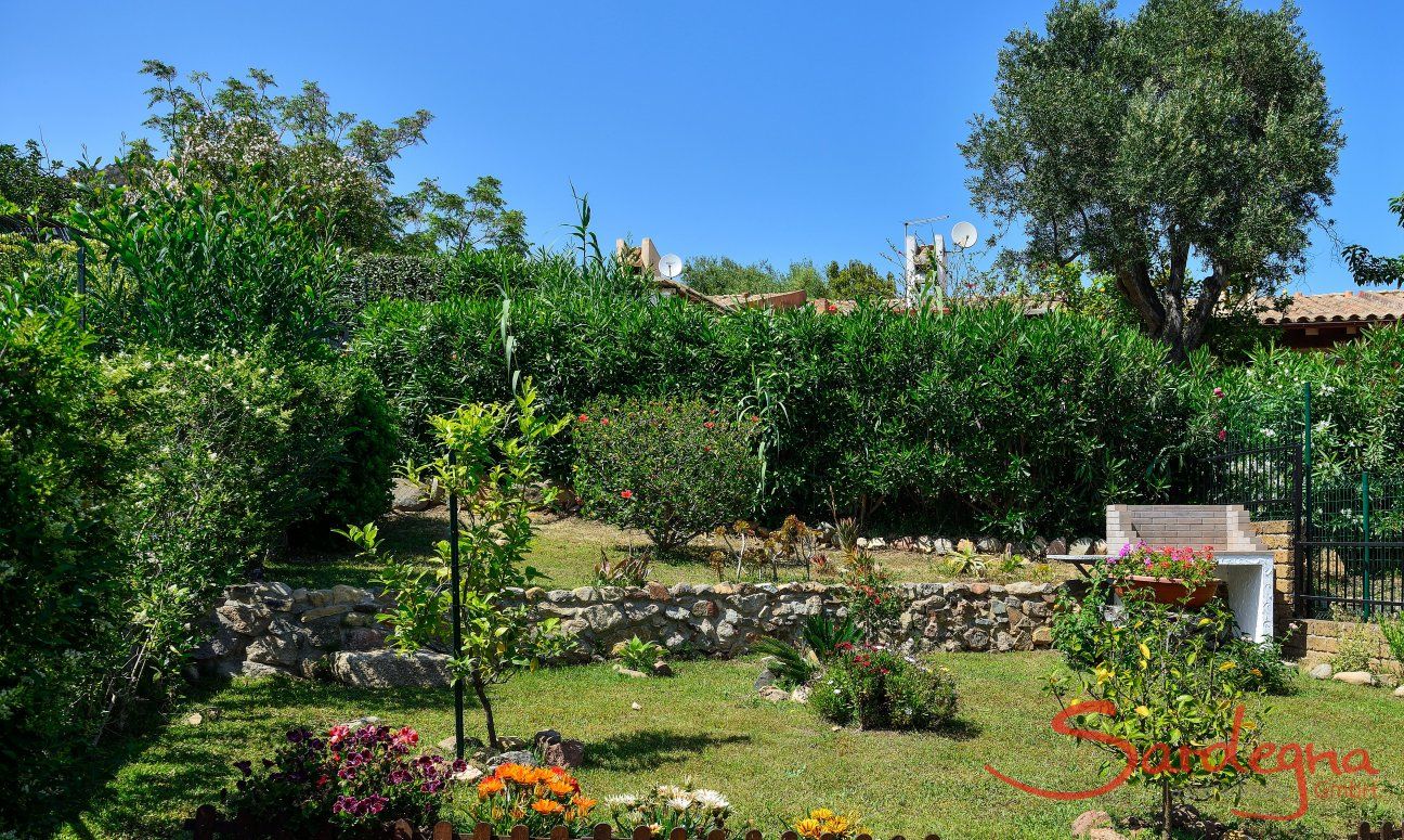 Villa Nicola | Beautiful garden of the villa Beautiful garden of the villa