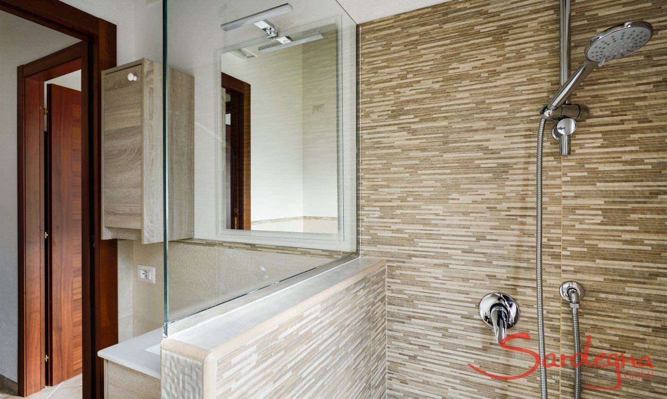Modern bath with shower