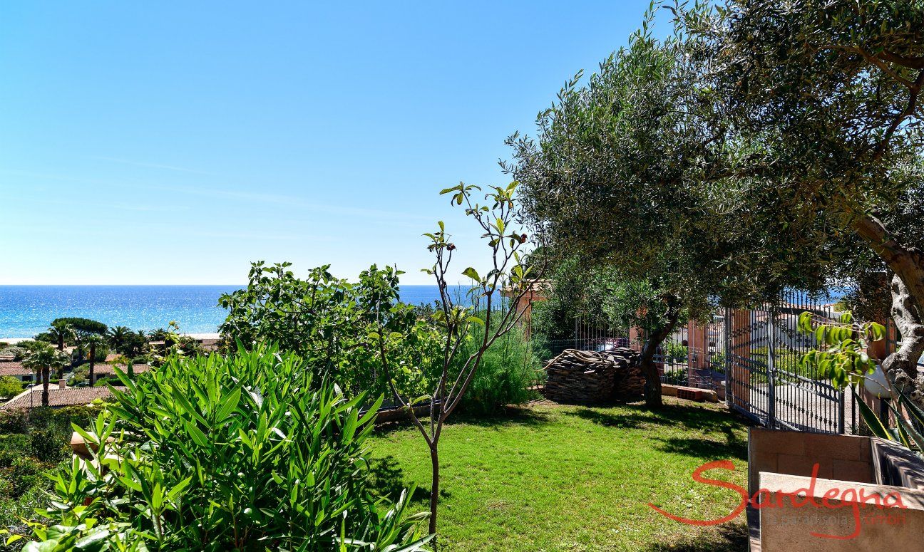 Apartment Castededdu 6 | Green garden with Mediterranean plants and trees Green garden with Mediterranean plants and trees