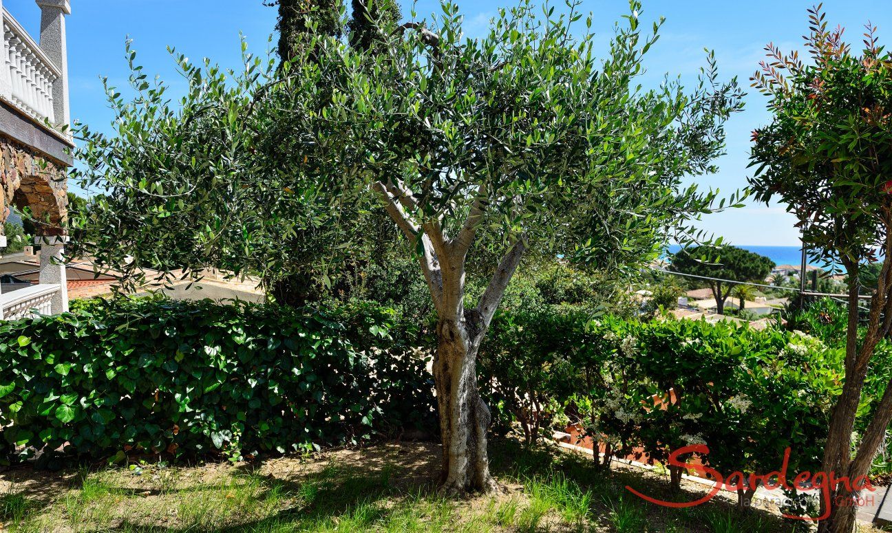 Apartment Castededdu 8 | Small, private garden New Picture 2018