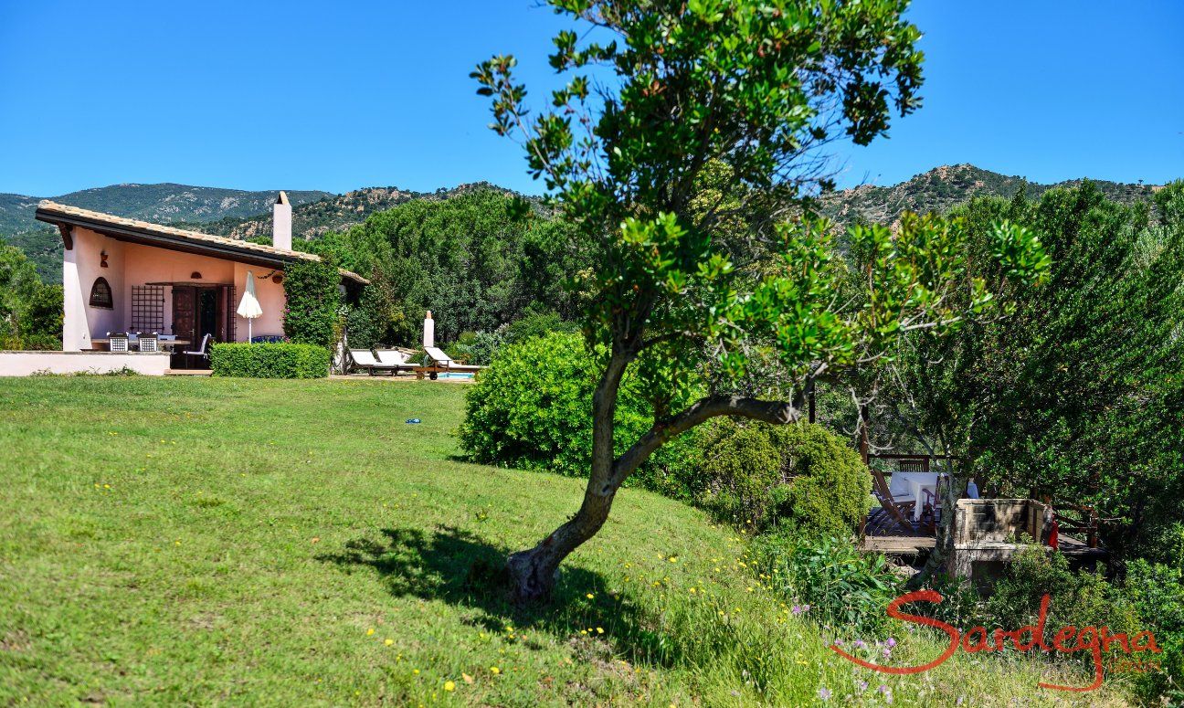 Natural garden with trees in front of the villa 