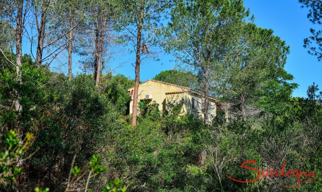 Villa Paradiso | New Picture 2018 New Picture 2018