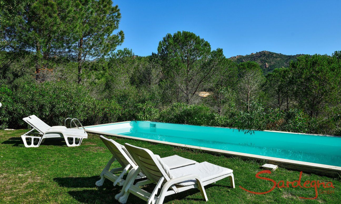 Villa Paradiso | Private pool in the middle of nature Private pool in the middle of nature