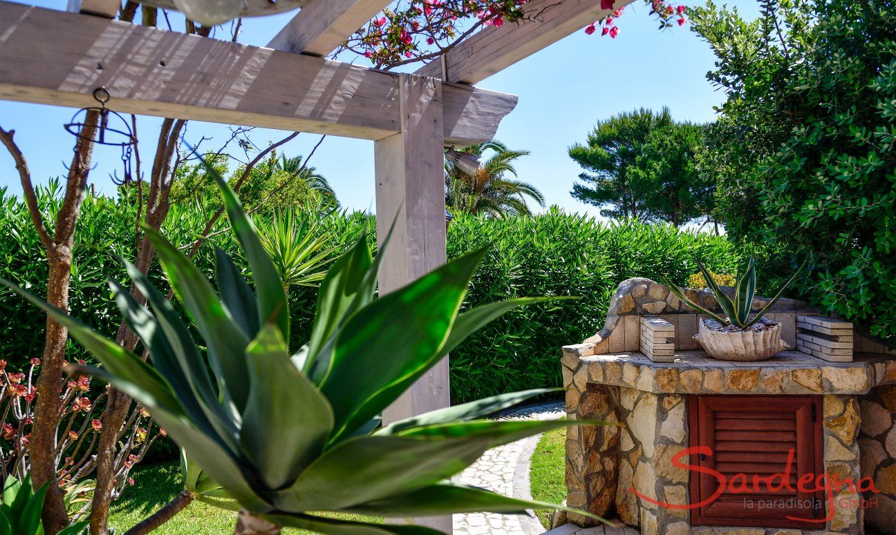 Villa delle Agave | Mediterranean plants Mediterranean plants