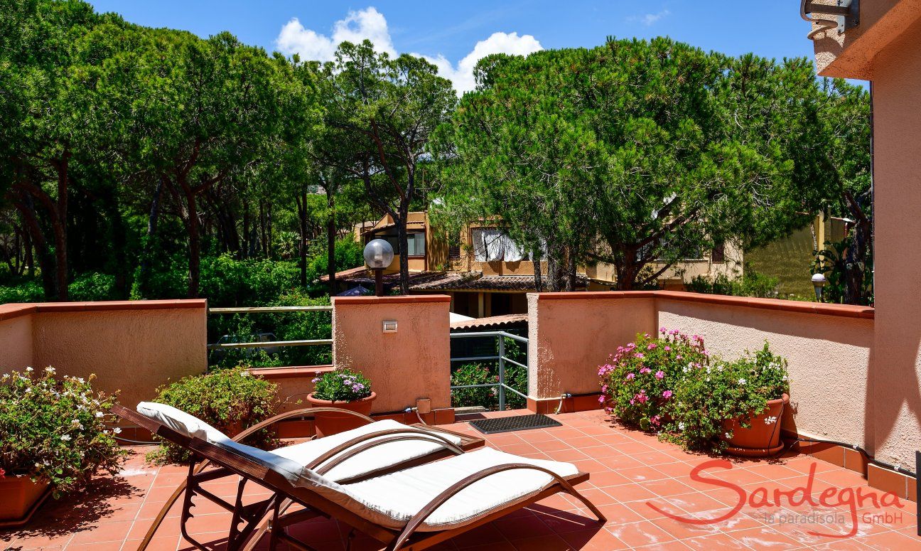 App. Pino | Terrace amidst the Pines Terrace amidst the Pines