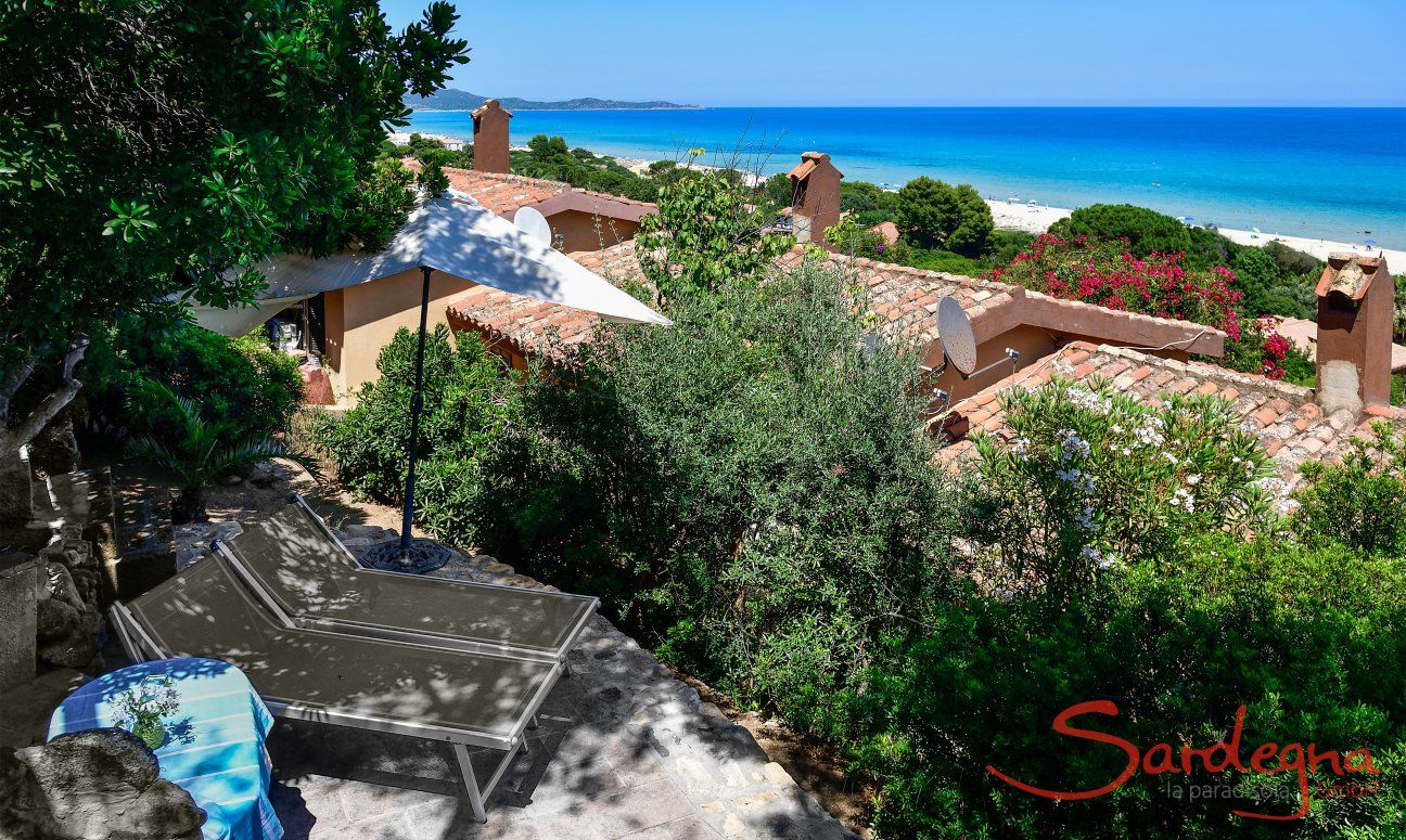 Lounge chairs on the terrace in the shade of olive trees