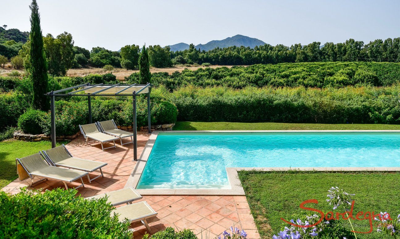 Pool, embedded in the natural environment of the villa