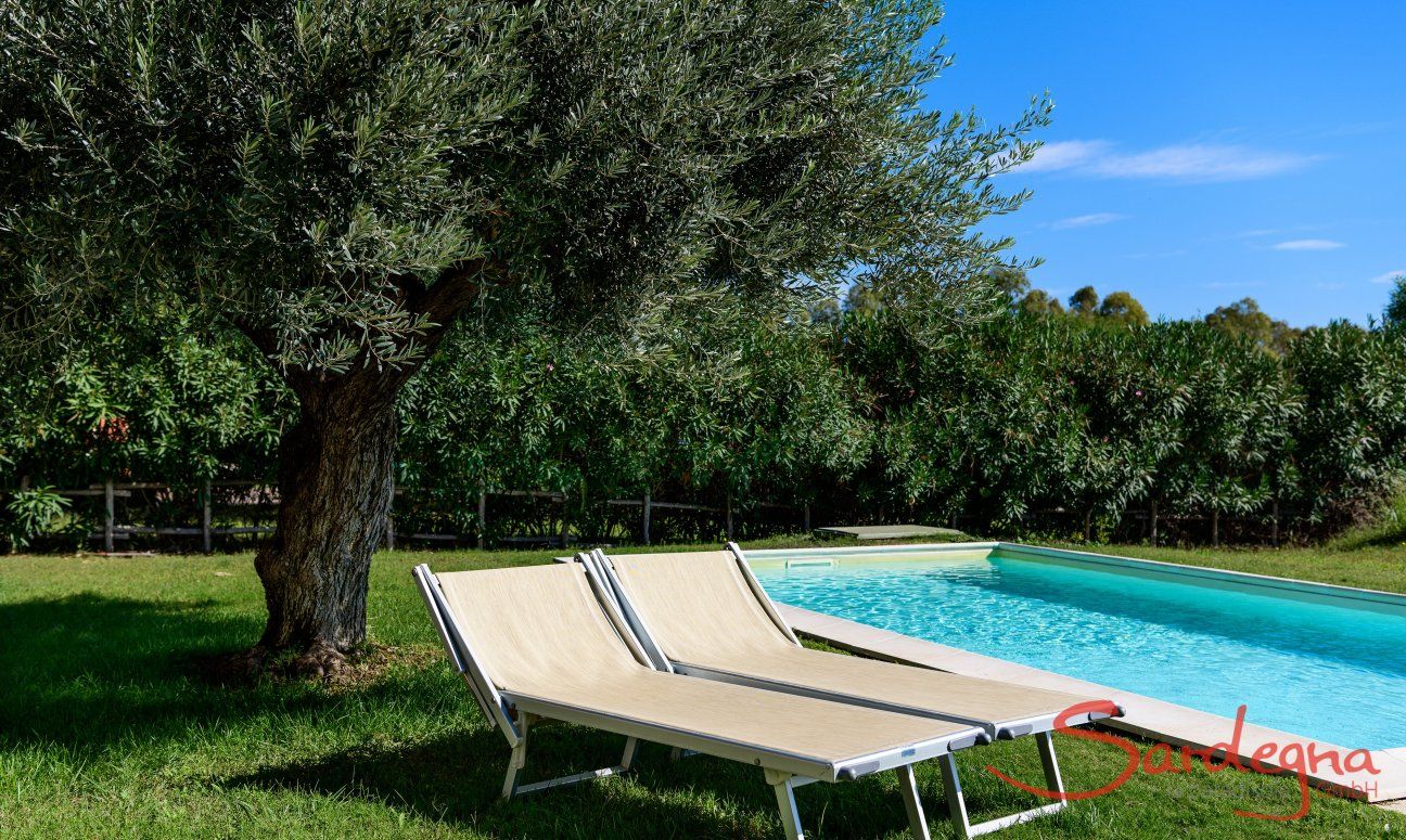 Villa Campidano 21 | Sunbathing by the pool Sunbathing by the pool of Villa Campidano 21