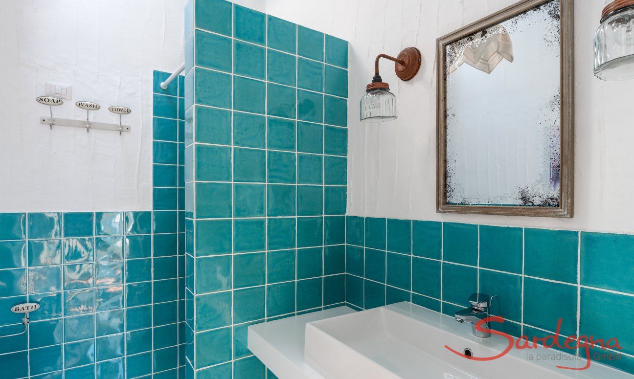 Bathroom 1 with shower and a big sink