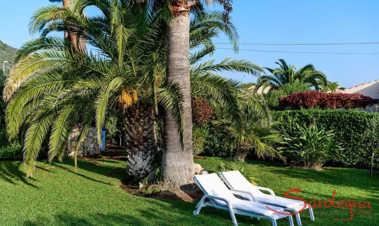 Villa Giangaleazzo | Garden with sunbeds under palm trees Garden with sunbeds under palm trees