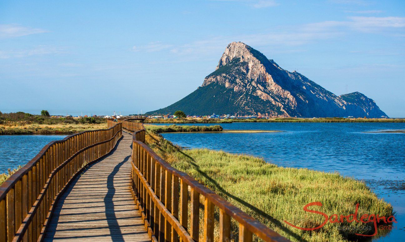 Beautiful strolls through the natural reserve of Porto Taverna with view of the isle of Tavolara