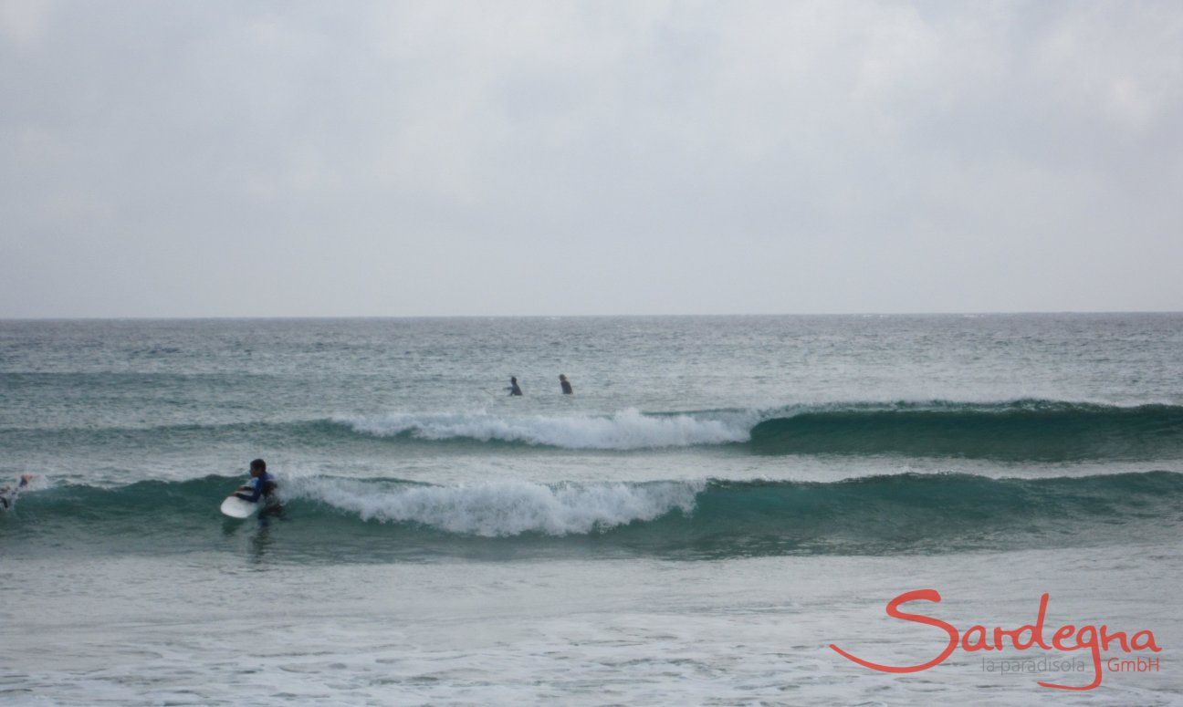 Surfing waves at the beach of Pula