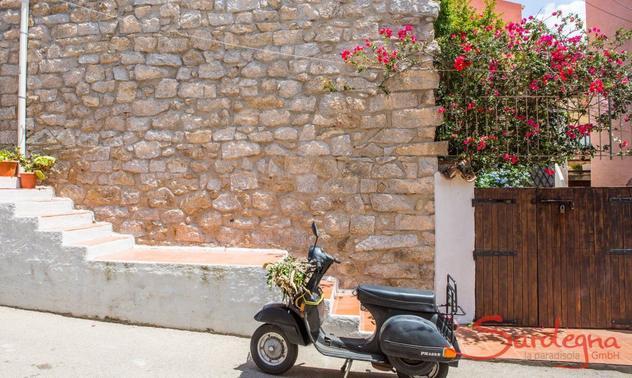 Vespa parked in front of a typical wall of stone an a blooming Oleandre in Santa Teresa di Gallura