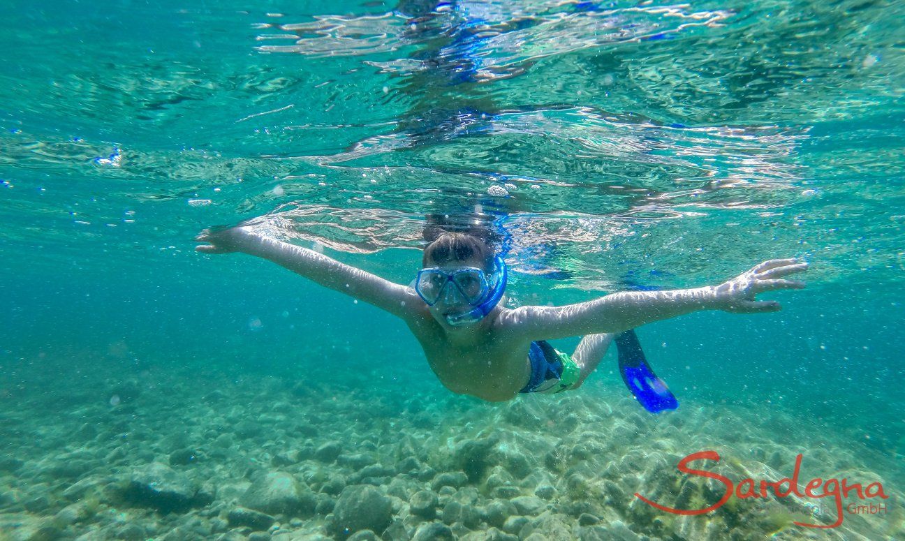 A snorkelling boy in crystal clear water