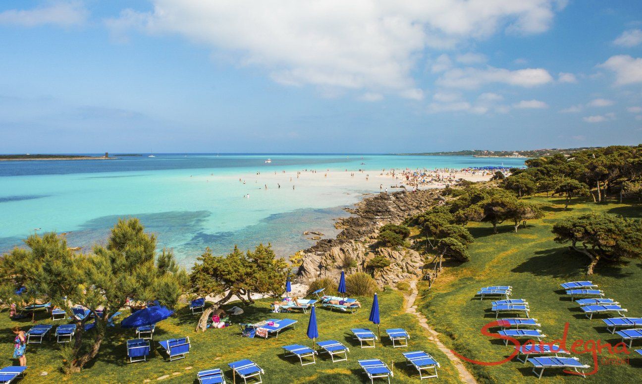 Sunbed rental on the green grass of La Pelosa, Stintino