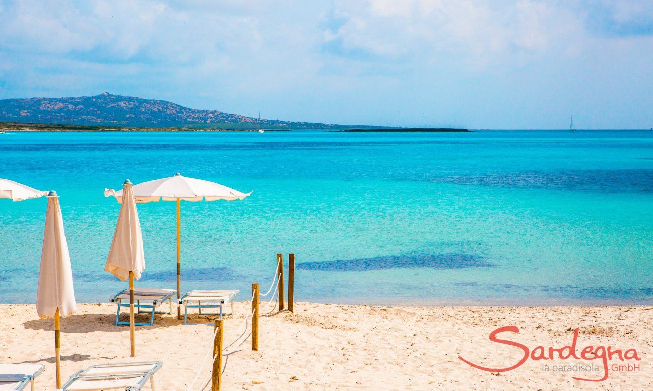 Rental of sunbeds and parasols on the beach of La Pelosa, Stintino