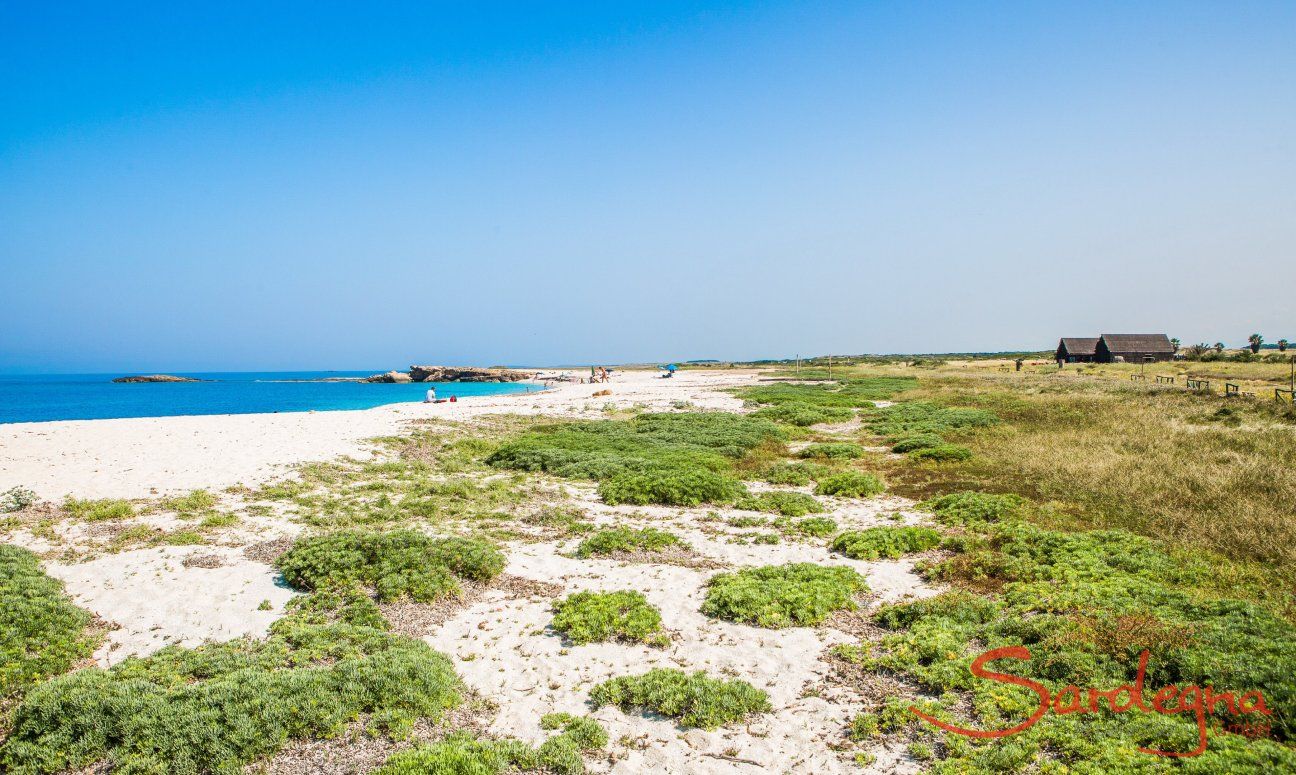 Dunes of Is Arutas