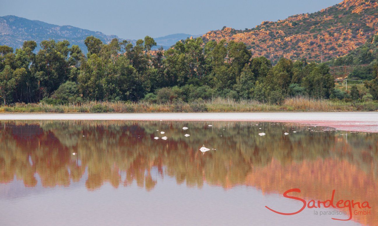 Salt lake in Muravera