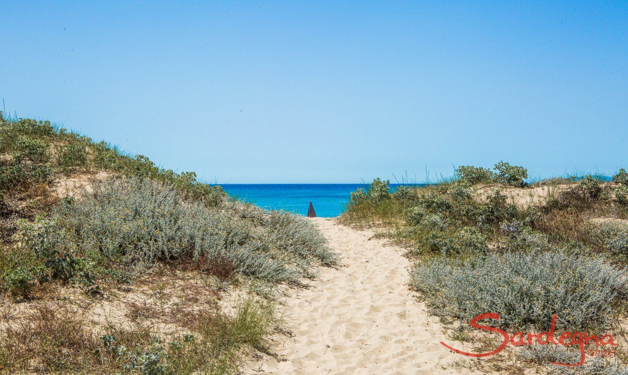 Access to the beach of Geremeas through the dunes