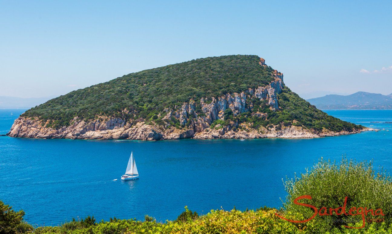 Sailing boat in front of the isle Figarolo, Golfo Aranci