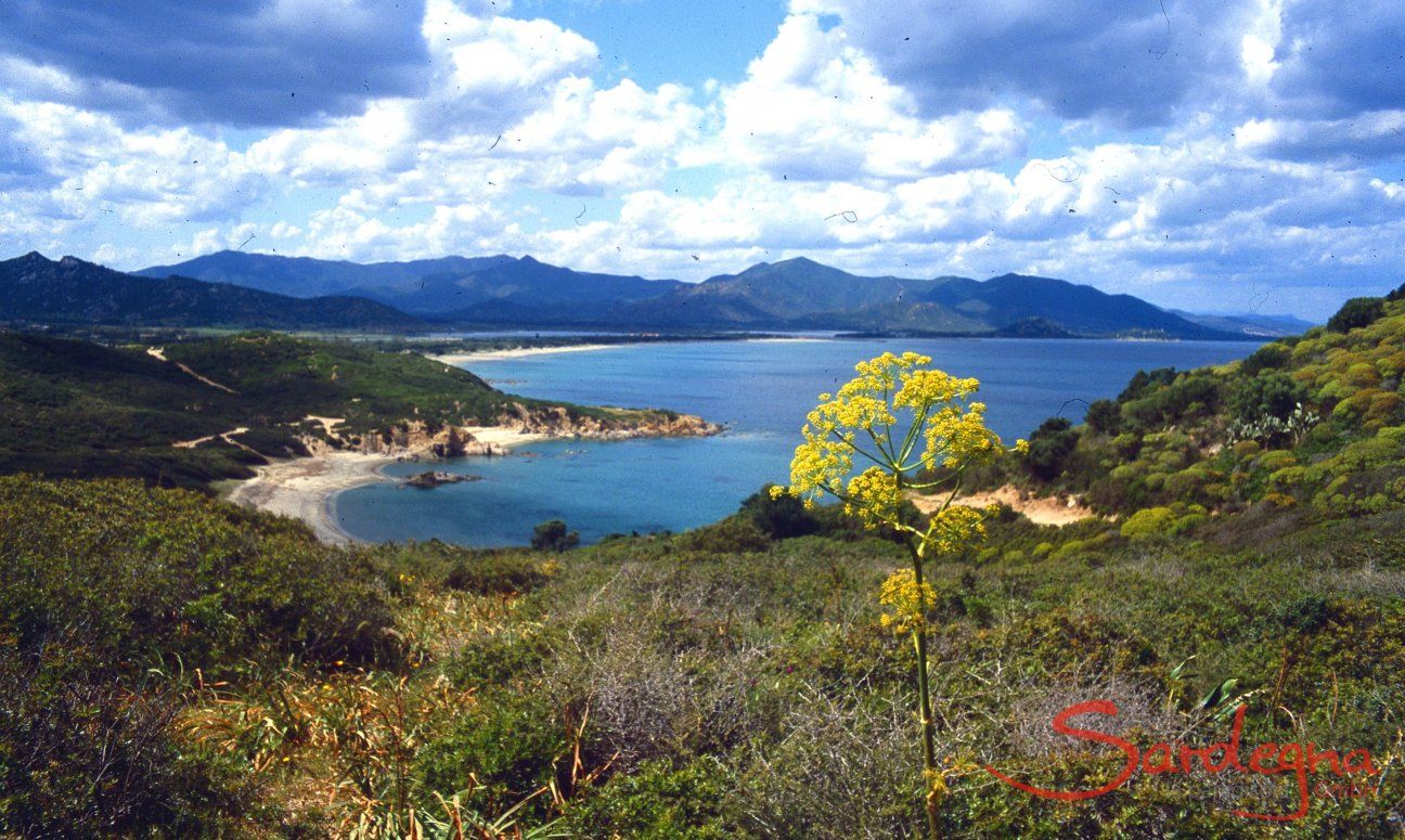 Villetta 12 | Capo Ferrato, Costa Rei, 6 km. away Capo Ferrato, Costa Rei