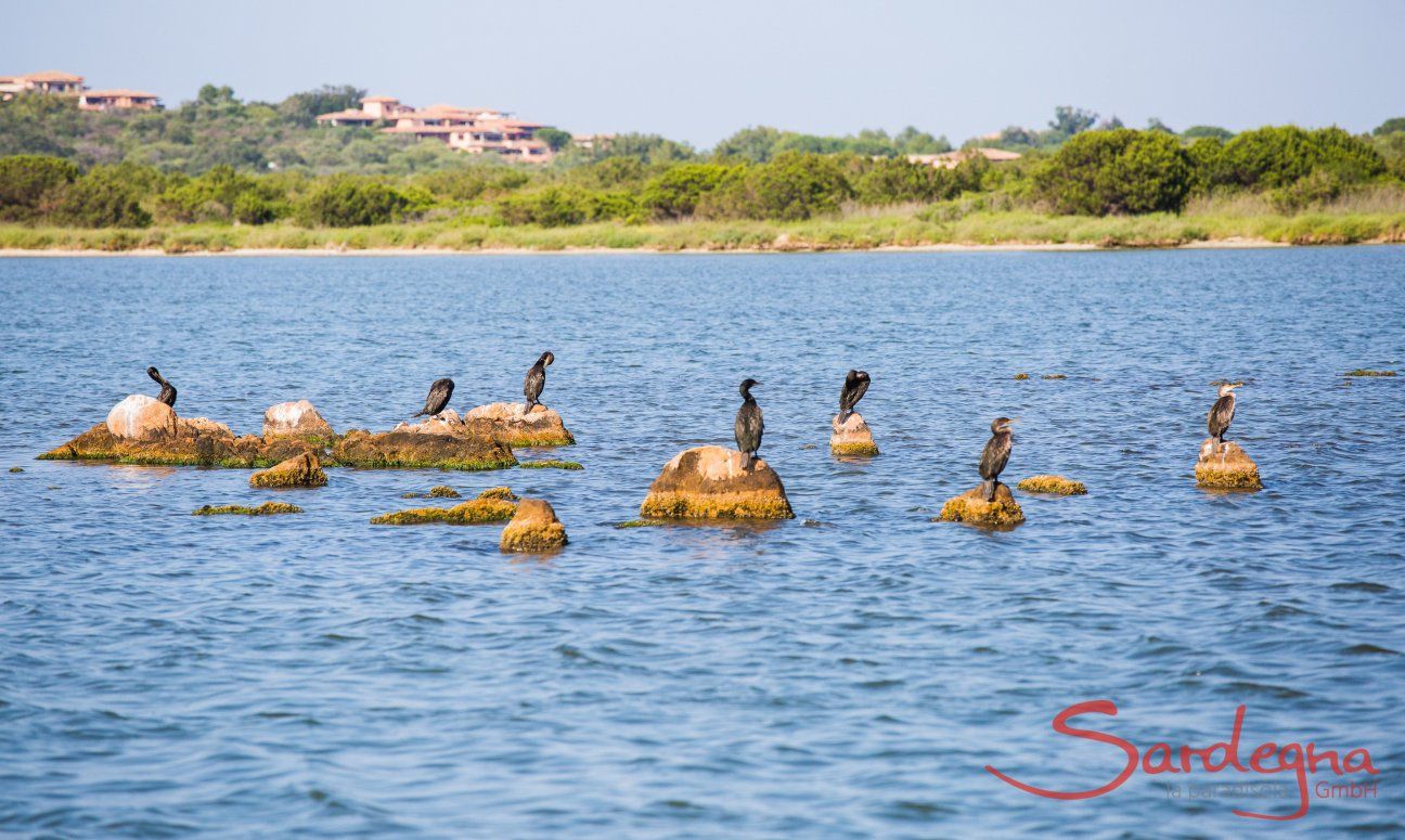 Lagoon lake San Teodoro