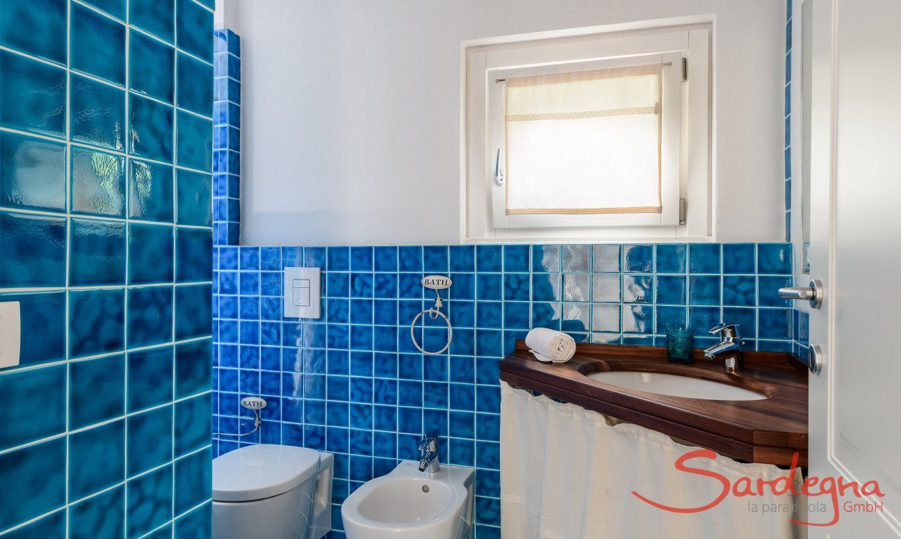 Li Conchi 30 | Bath 2 with shower and blue tiles Presentation of Li Conchi 30
