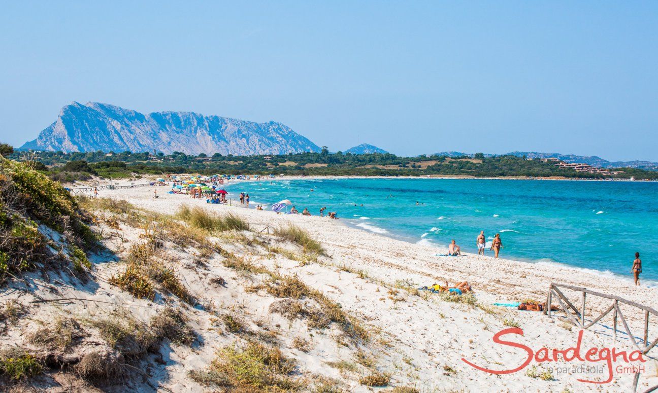 Beach La Cinta, San Teodoro