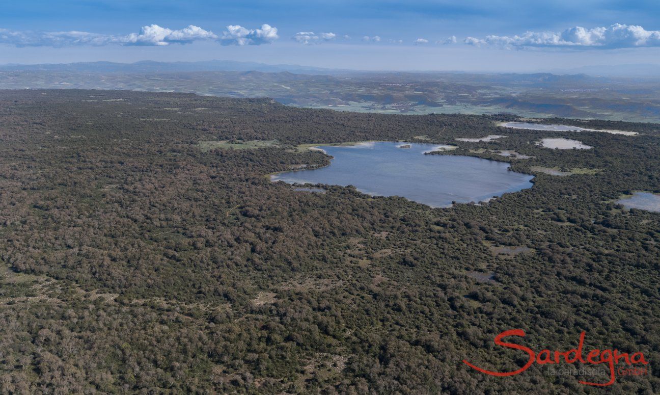 High plateau Giara di Gesturi Sardinia