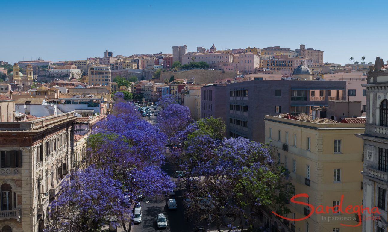 Cagliari the capital of Sardinia