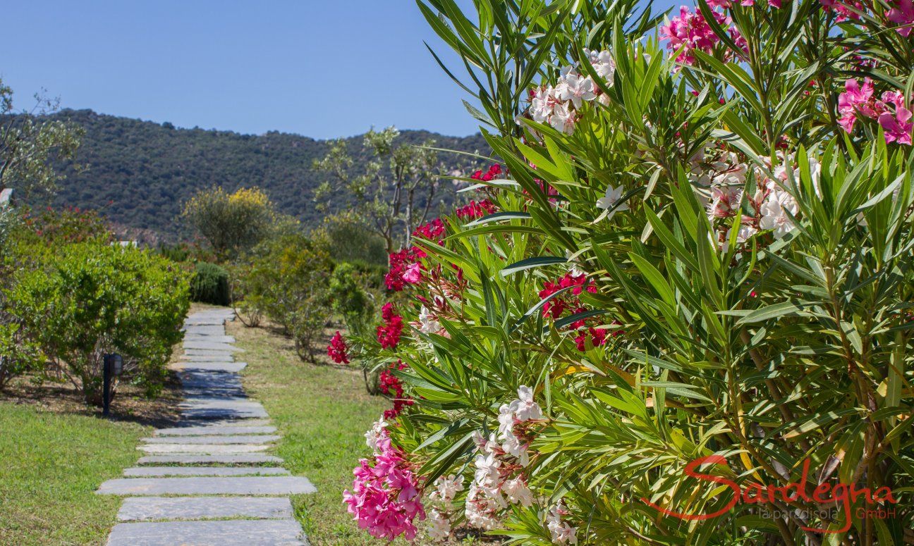 Li Conchi 4 | Path to the pool Path to reach the Pool of Li Conchi