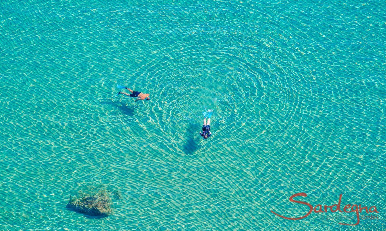 Beach Torresalinas