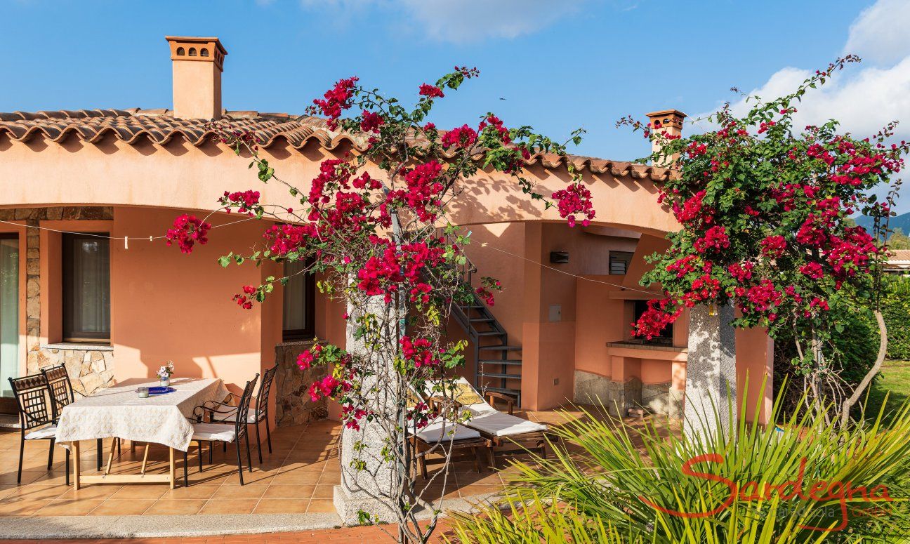 Villa Daniele | Flowering bougainvillea covers the roofed terrace Outdoor with garden and terrace