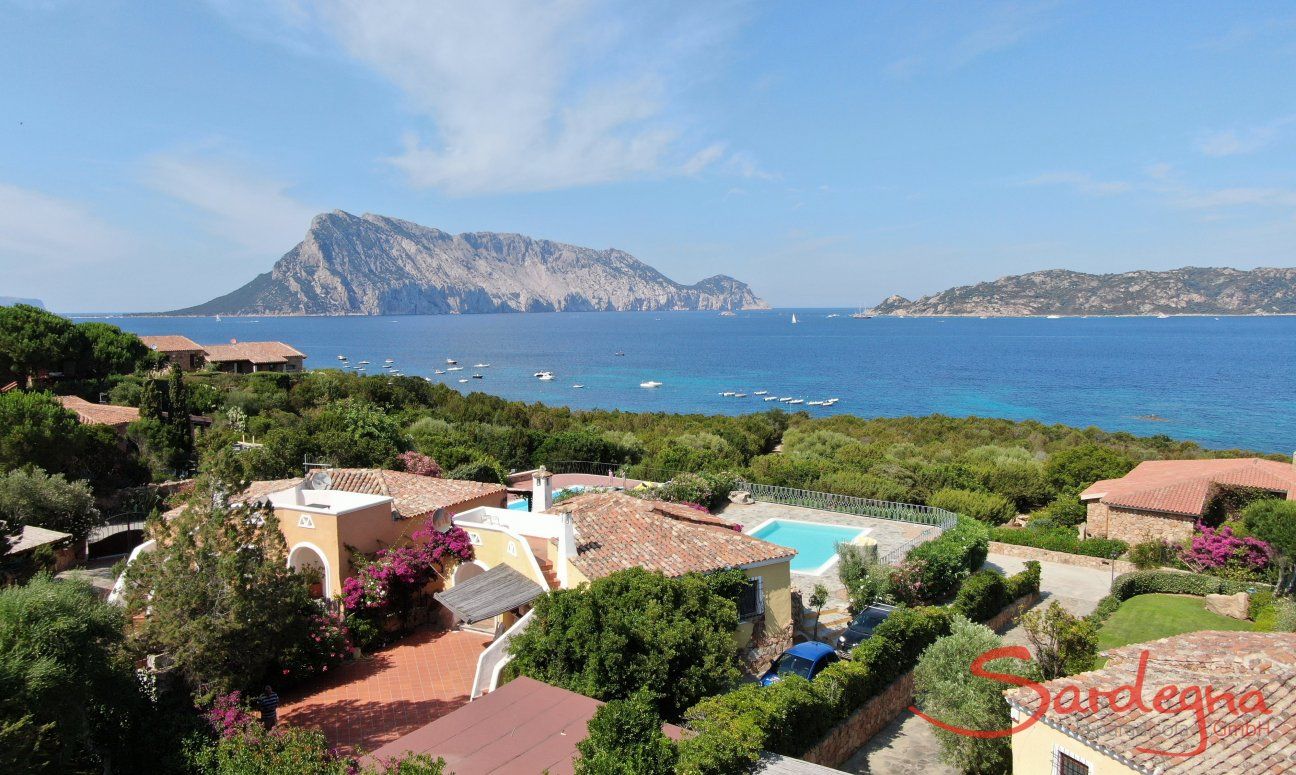 Villa Maestrale | Single standing villa with pool and seaview Villa Maestrale, Cala Ginepro, North Sardinia