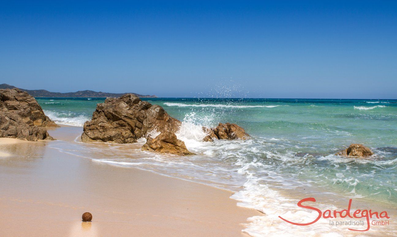 Sandy beach and blue sea