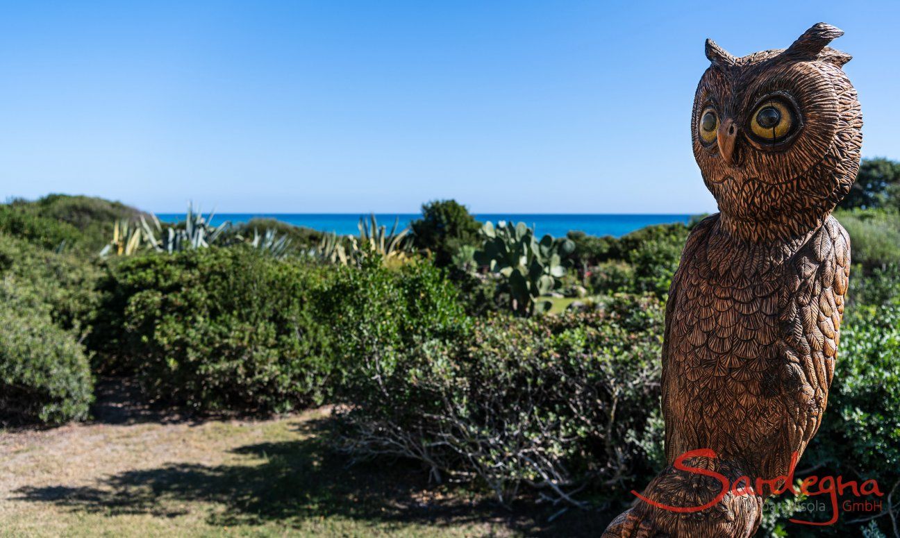Villetta 3 | The owl, the "gufo", with a view of the house Sea view Villetta 3 Costa Rei