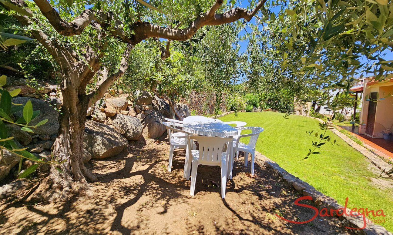 Villa Lucia | Garden table behind the house under an old olive tree New Picture