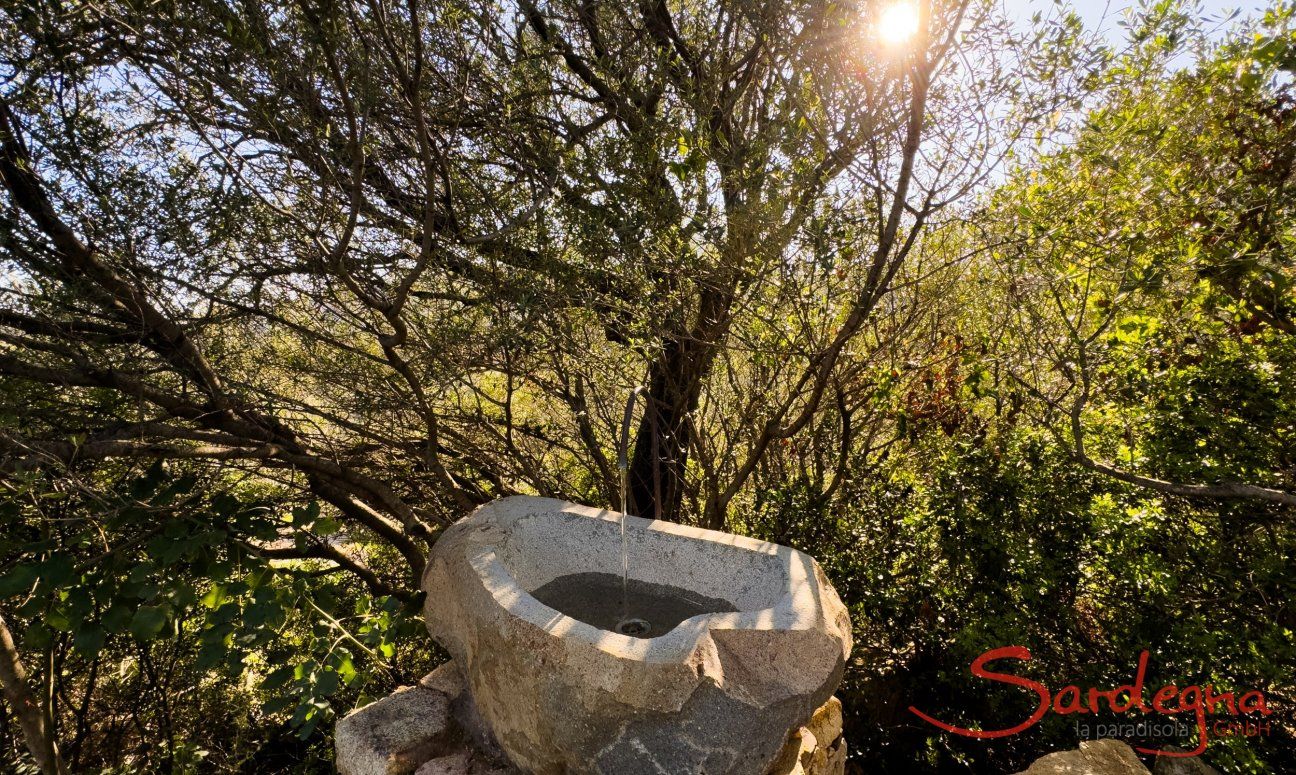 Bioloco | Natural washbasin New Picture 2024