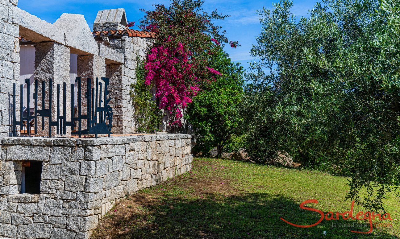 Li Conchi 33 | Privacy in the garden New Picture 2025
