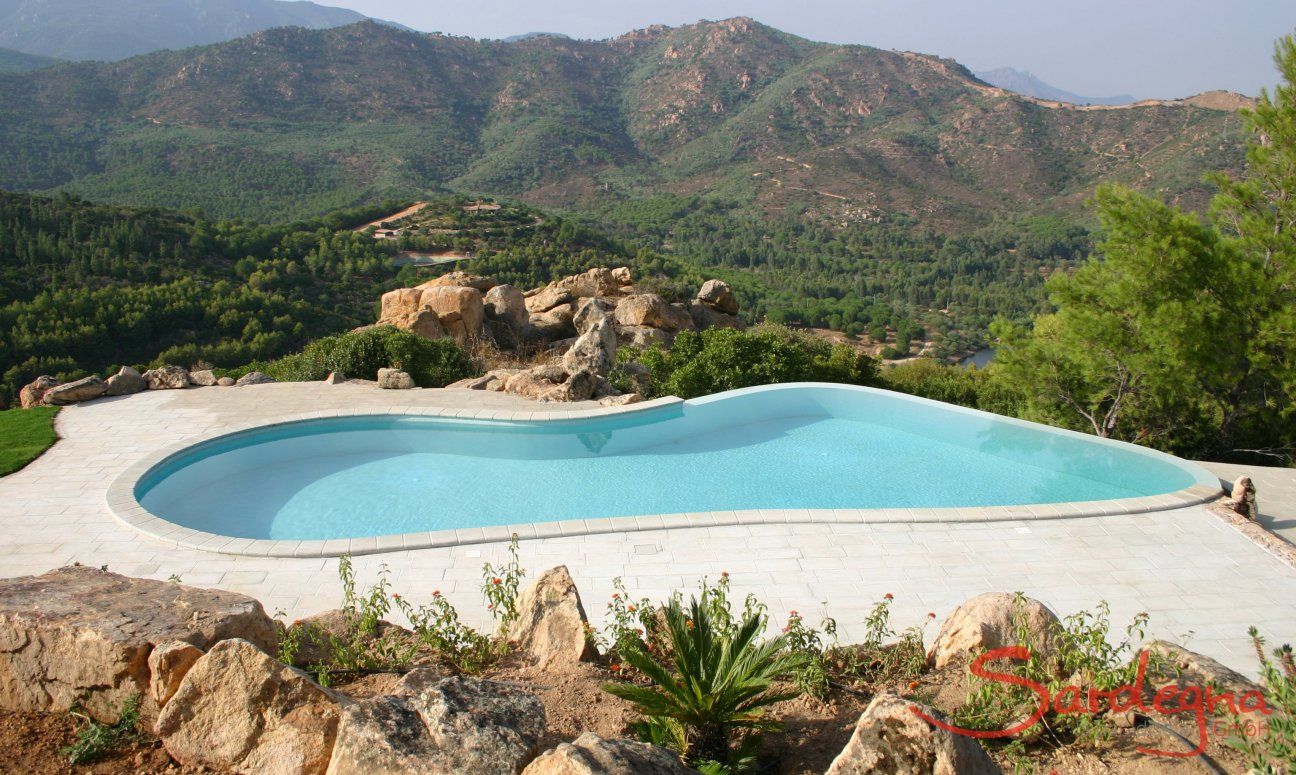 Villa Aquila Giardino | Pool belonging to the apartment Pool belonging to the apartment