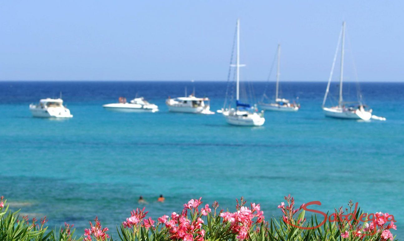 Motorboat Excursions | Boats floating on the crystal clear sea bathroom