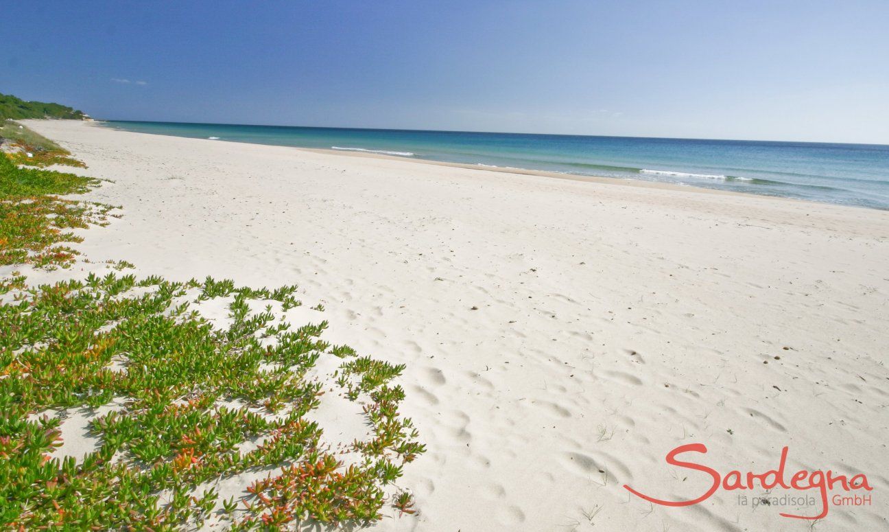 Beach in front of the house