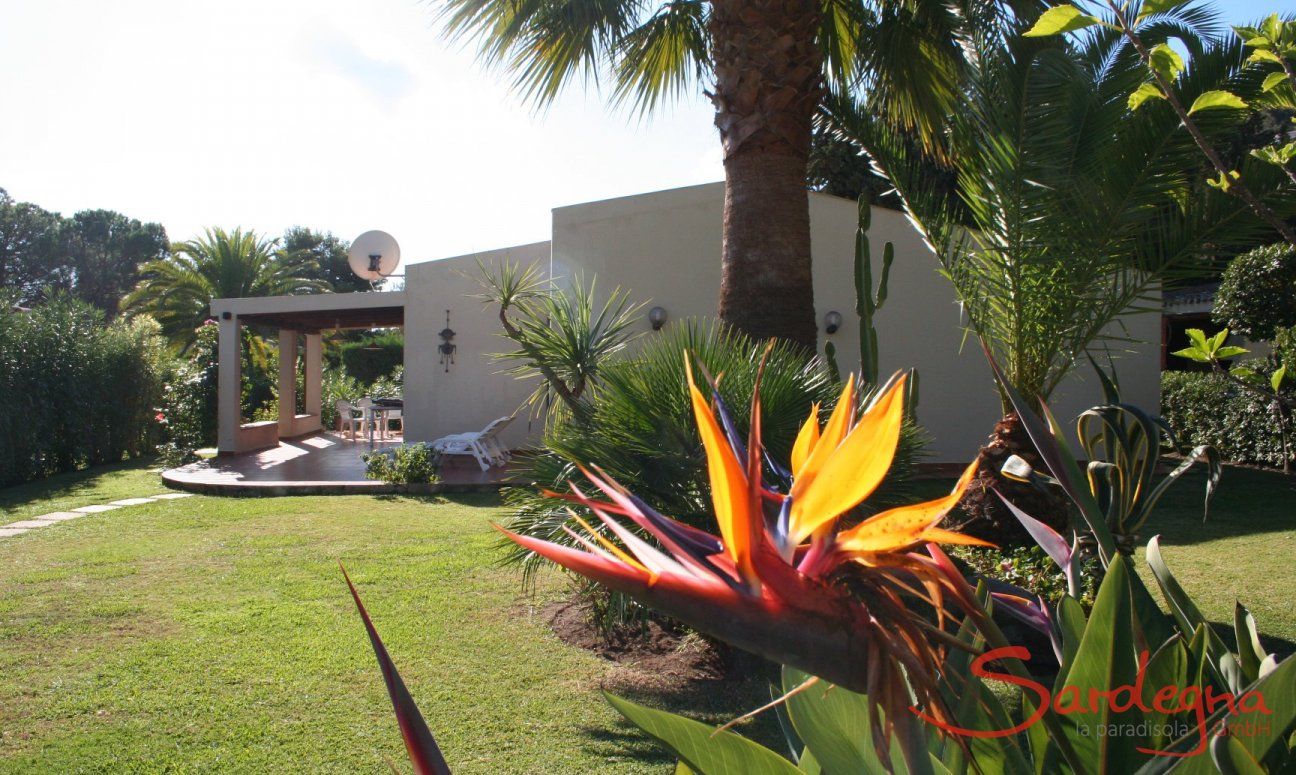 Villa Giangaleazzo | Beautiful Flowers in the garden Beautiful Flowers in the garden