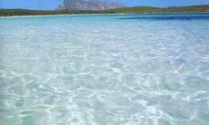 Villa Maestrale | Crystal clear Sea in the north of Sardinia Crystal clear Sea of S. Teodoro
