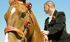 Horsehead with decorated harness and its rider