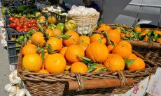 Market stand in Muravera with citrus fruit and other vegetables