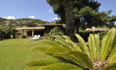 Villa Palme | Groomed, big garden in front of the house Groomed, big garden in front of the house